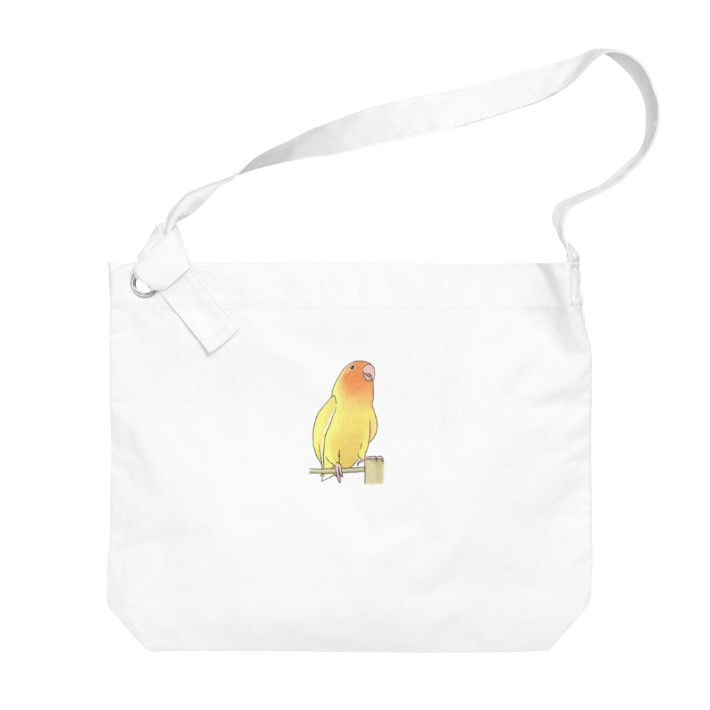 まめるりはことりの得意げ可愛い　コザクラインコちゃん【まめるりはことり】 Big Shoulder Bag