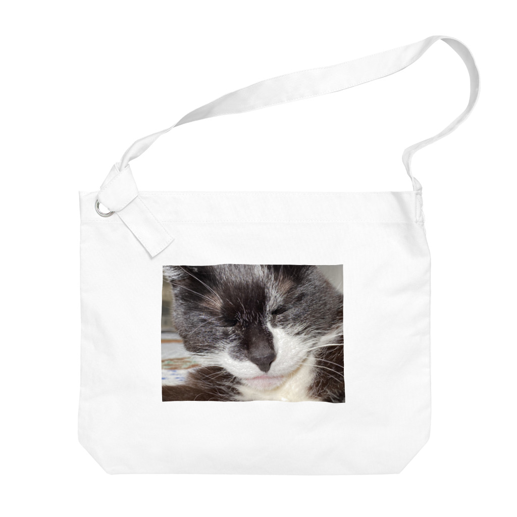 昼寝猫🐈‍⬛の昼寝する猫2 Big Shoulder Bag