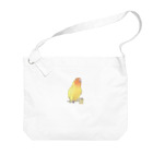 まめるりはことりの得意げ可愛い　コザクラインコちゃん【まめるりはことり】 Big Shoulder Bag