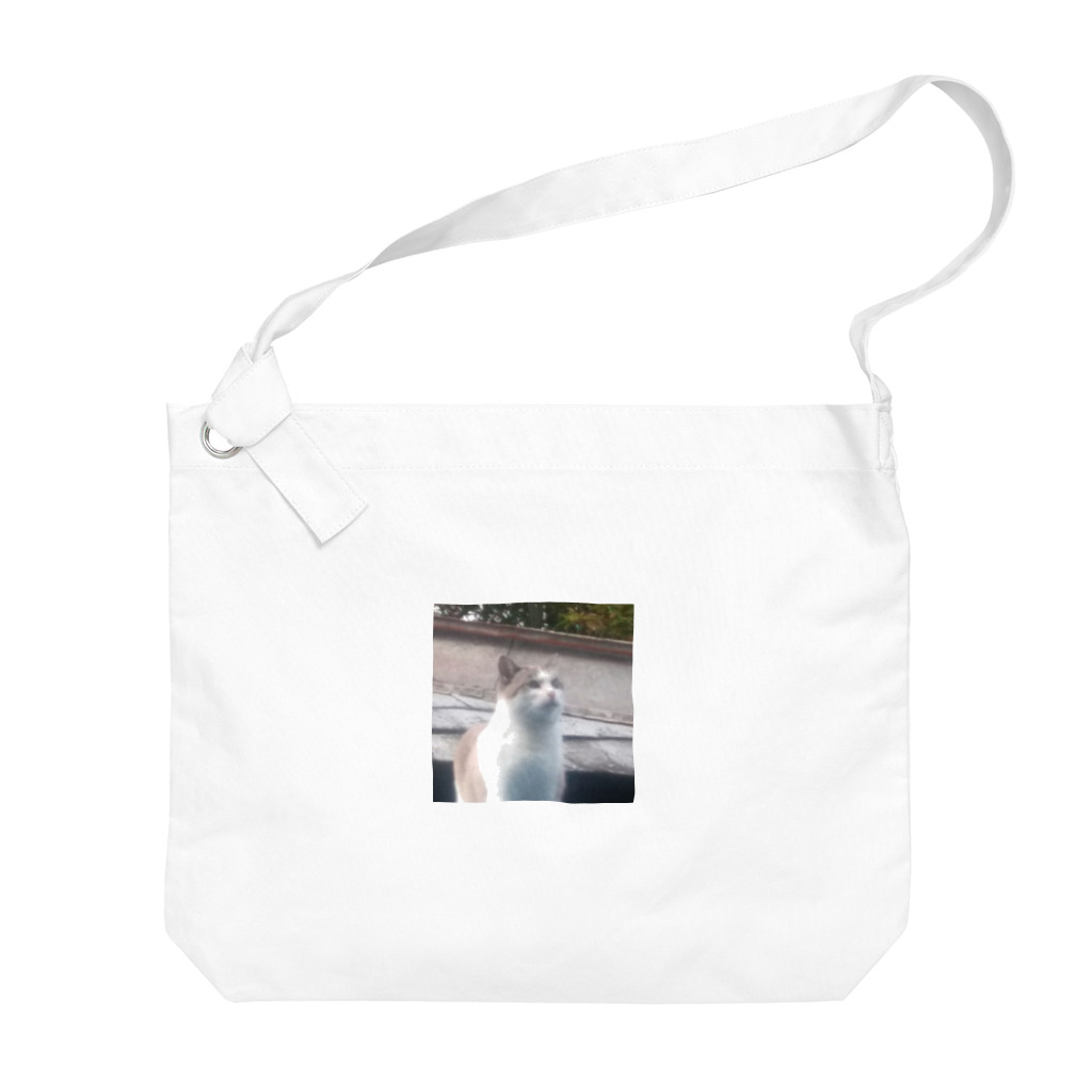 🍀Kaori🍀の猫と空 Big Shoulder Bag
