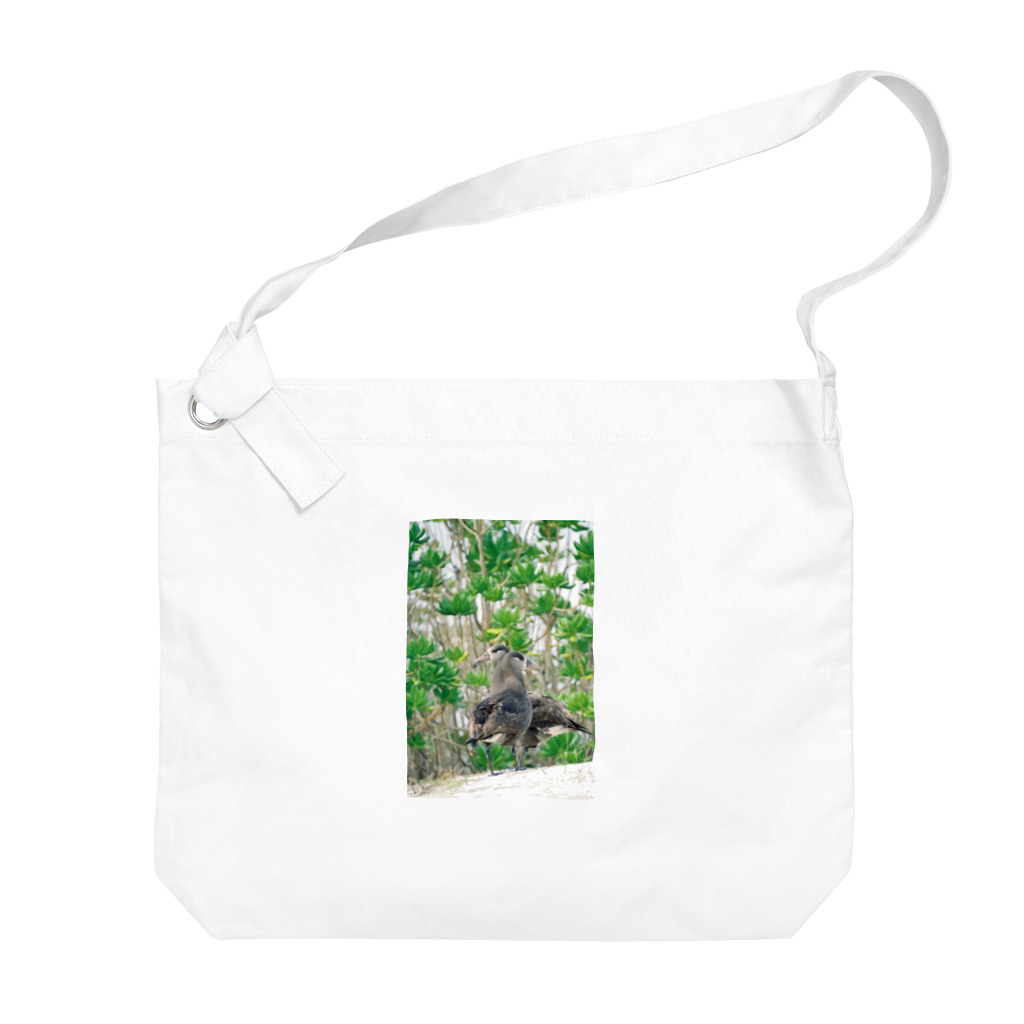 写真的徒然草のクロアシアホウドリ Big Shoulder Bag