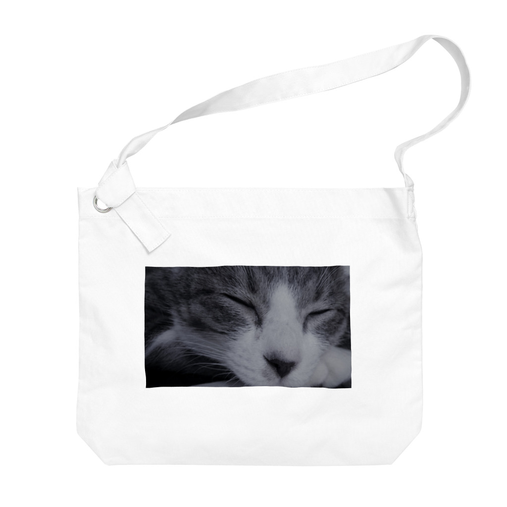 ofu_1010のお眠り猫2 Big Shoulder Bag