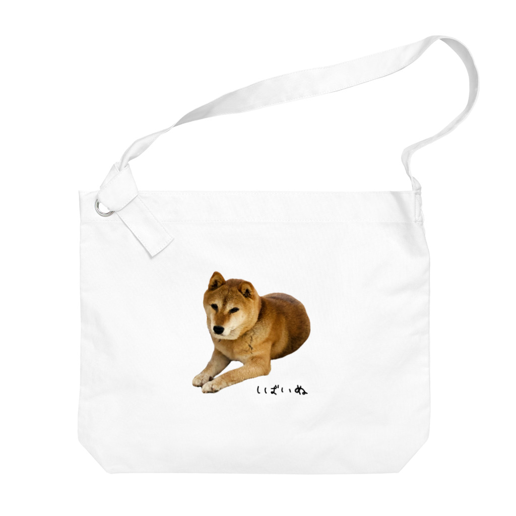 柴犬しばわんこhana873の伏せ？してる柴犬さん Big Shoulder Bag