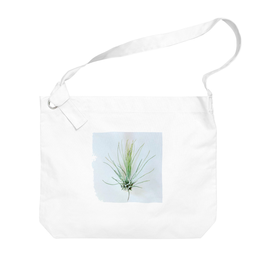 a.c.a.botanicalのTillandsia Big Shoulder Bag