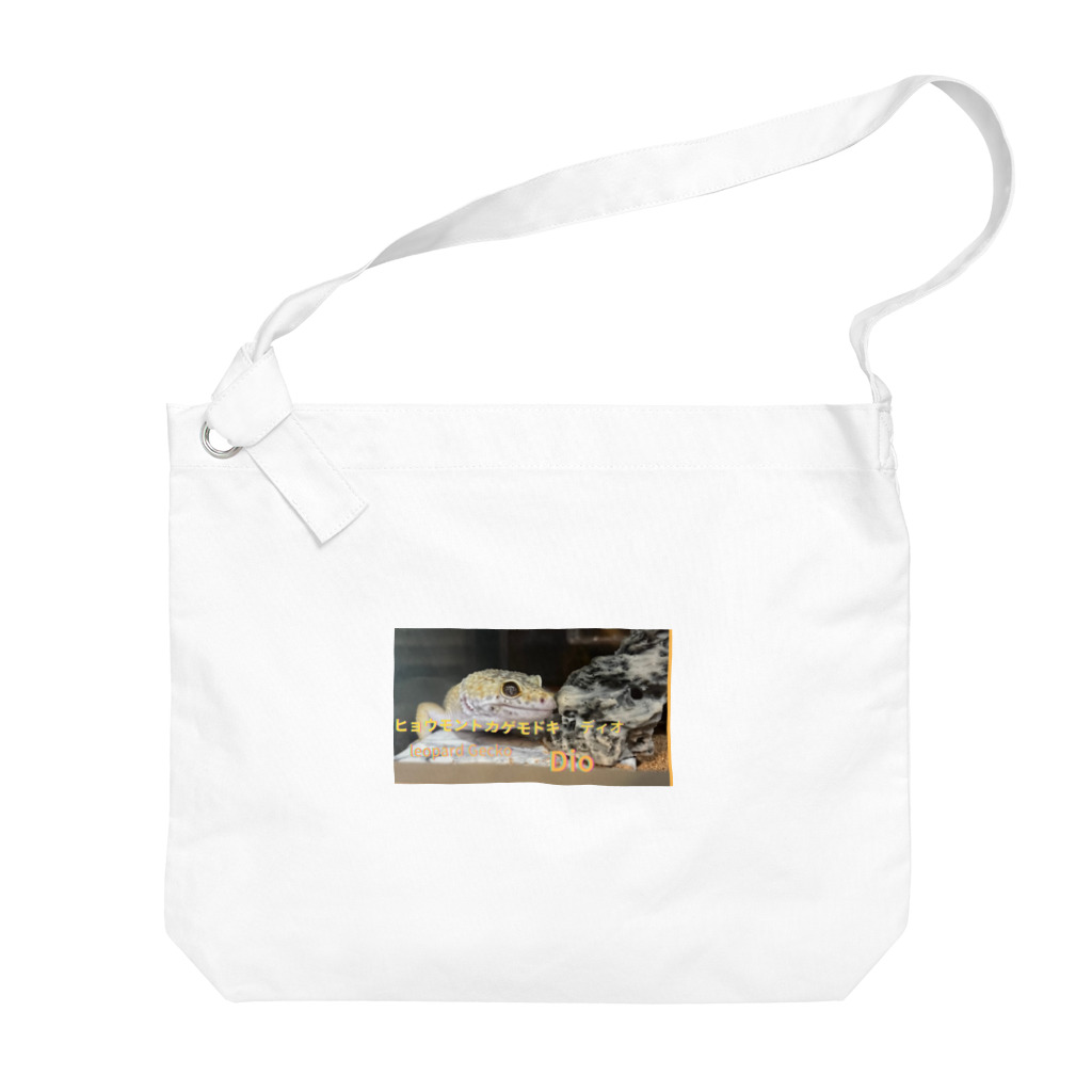 カメオタクの飼育箱のヒョウモントカゲモドキ＆ニシアフリカトカゲモドキ Big Shoulder Bag