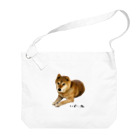 柴犬しばわんこhana873の伏せ？してる柴犬さん Big Shoulder Bag