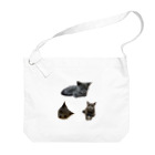 うちの猫ちゃんたちのるうなトライアングル♻️_No.1 Big Shoulder Bag