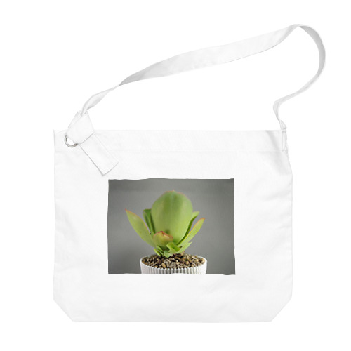 多肉植物A Big Shoulder Bag