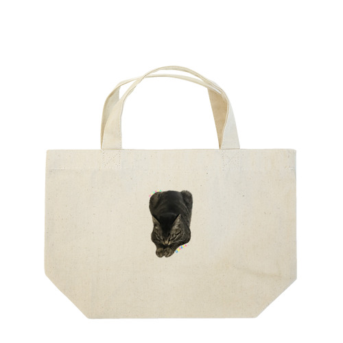 DOGEZA Lunch Tote Bag