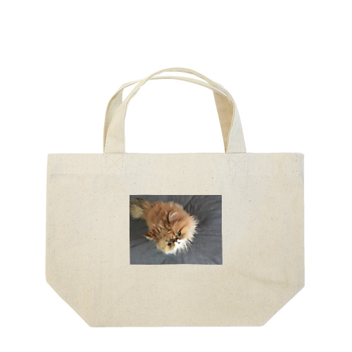 ぶちゃ猫・茶々丸 Lunch Tote Bag
