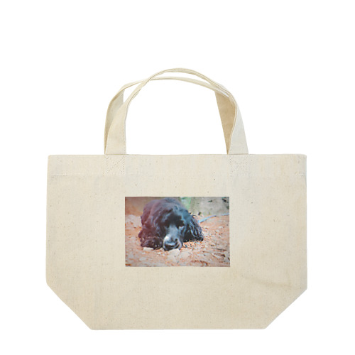 PONGA-Let's hong out Lunch Tote Bag