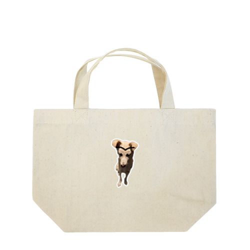 眉毛があるのに描かれてしまった犬 Lunch Tote Bag