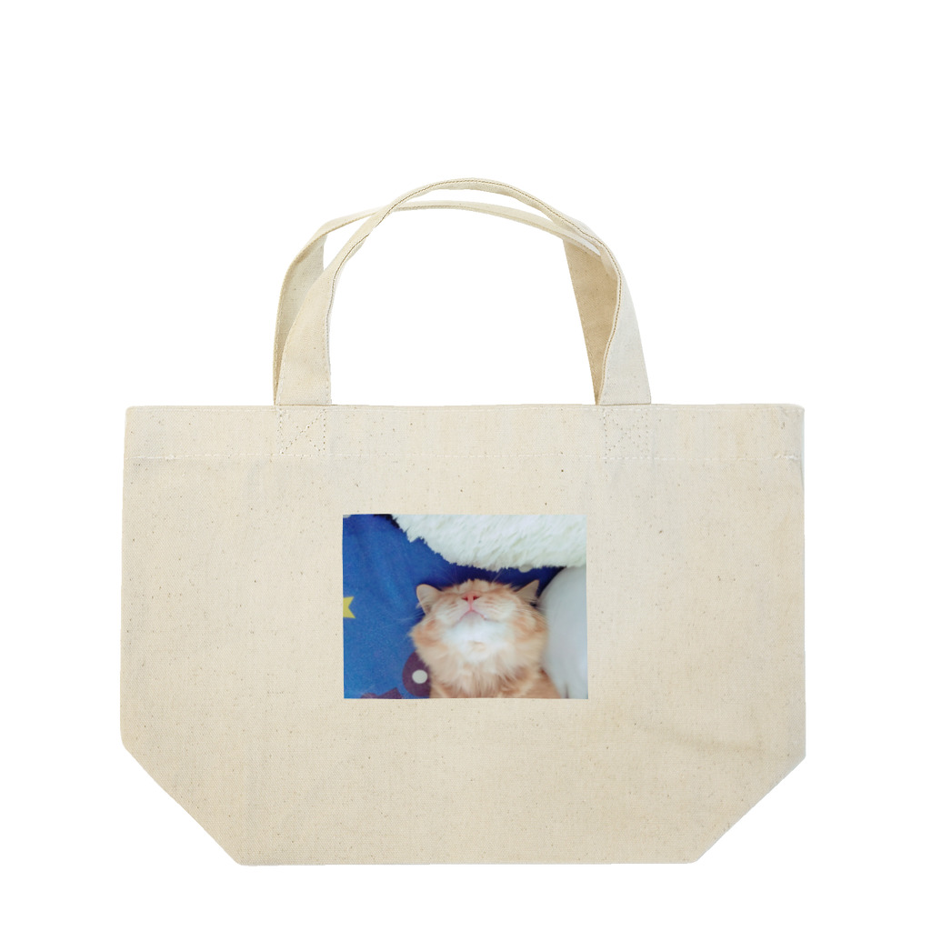 Mizuki・ASIA CATのcoco Lunch Tote Bag