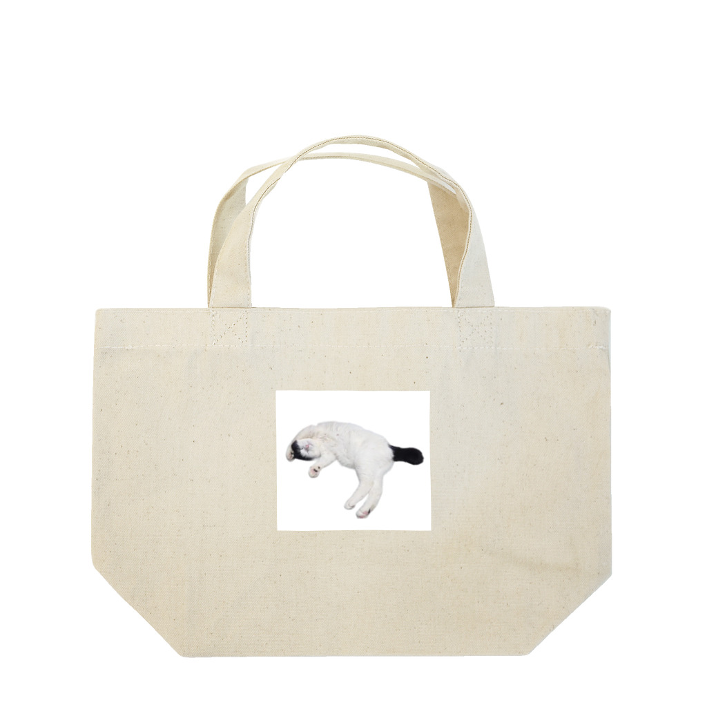 クリスタの尻尾が短い保護猫 たぬちゃん Lunch Tote Bag