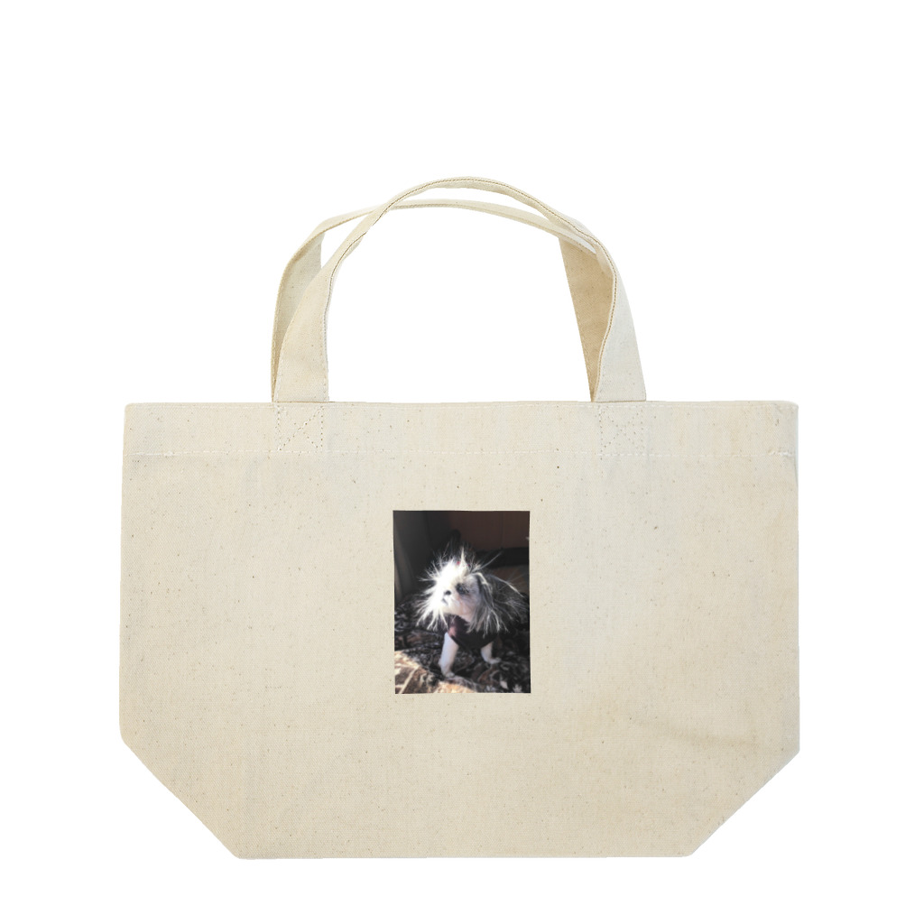 ram_bonのゴッドラム Lunch Tote Bag