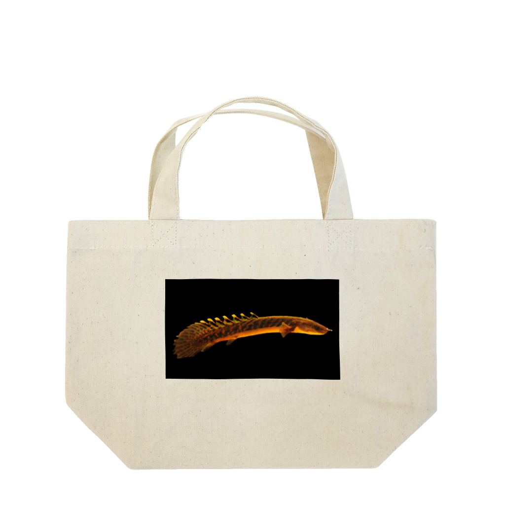 stockboxのポリプテルス グッズ Lunch Tote Bag