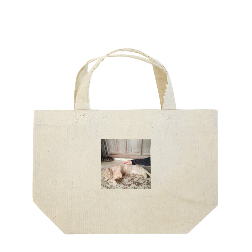 otorasannomiseのトラさんゴロリ写真グッズ Lunch Tote Bag