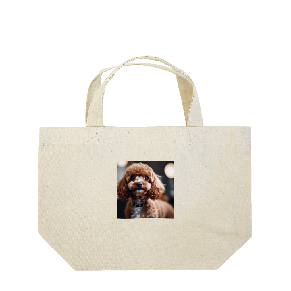 shaiermoiの首をかしげているトイプードル Lunch Tote Bag