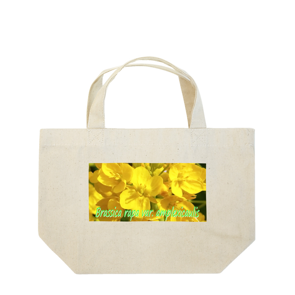  #satisfyingの菜の花　【啓蟄】　Brassica rapa var. amplexicaulis Lunch Tote Bag