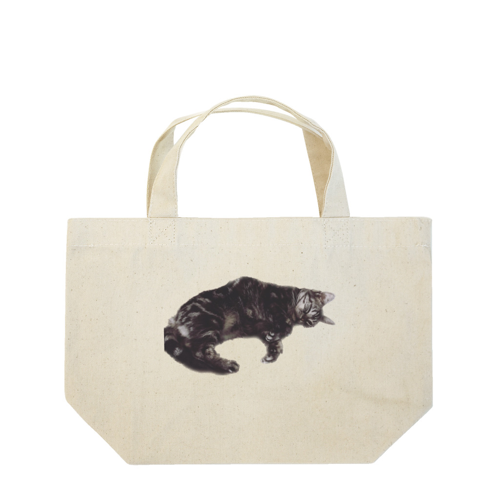 アメショーのひめちゃんのアメショーのひめちゃん④ Lunch Tote Bag