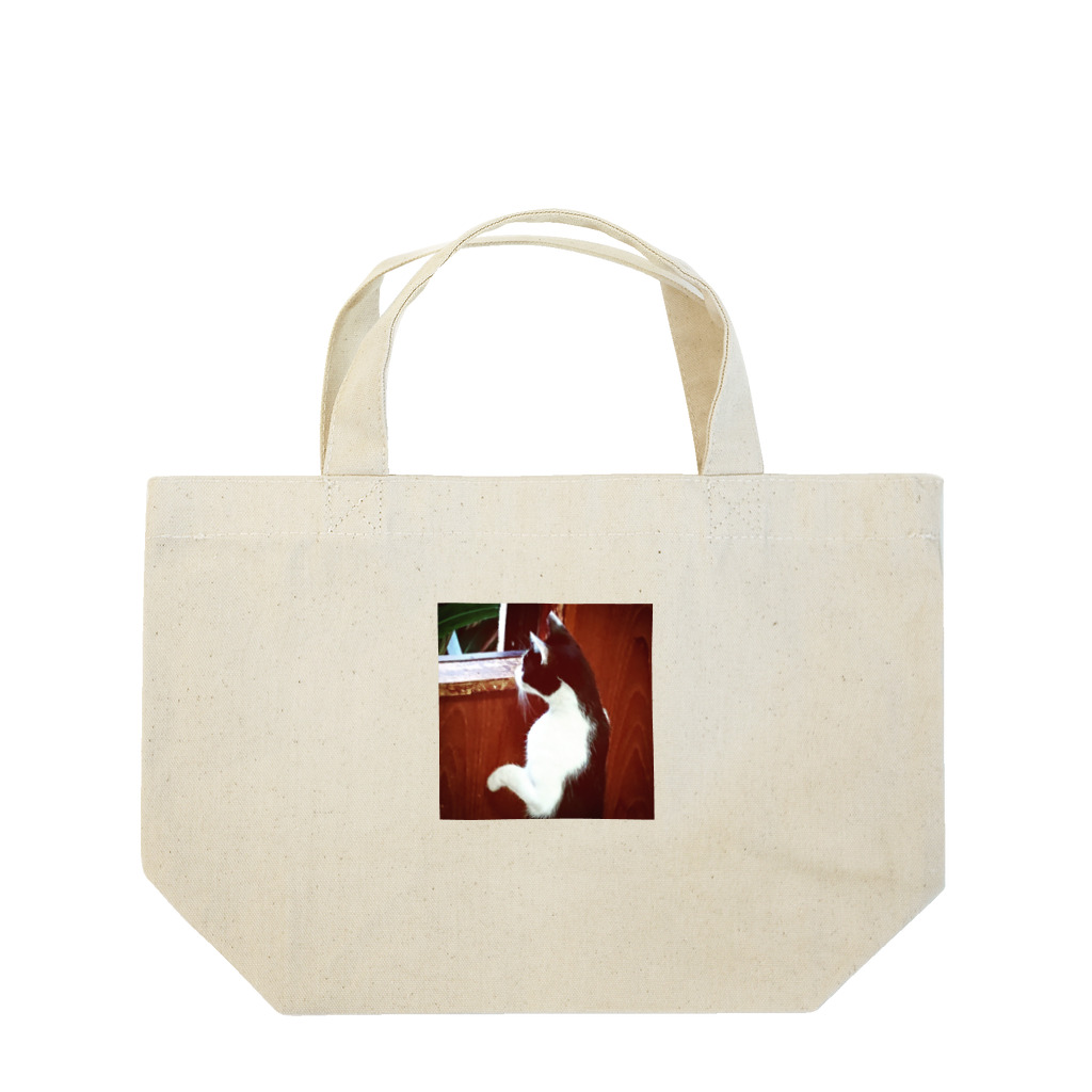 天光のねこ部屋の窓際のプリンちゃん Lunch Tote Bag