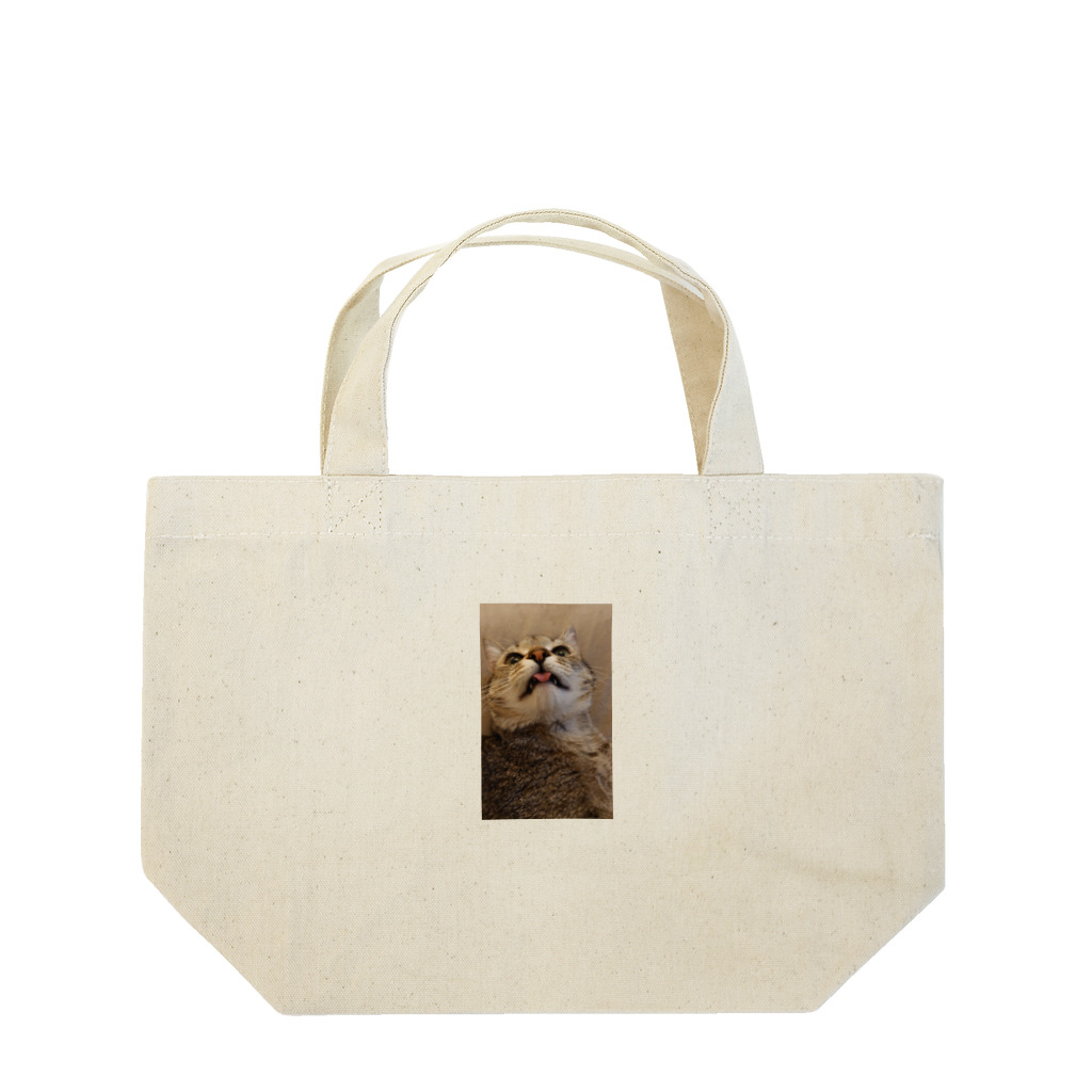 Ray-Savannahのぺろりんかるかる Lunch Tote Bag