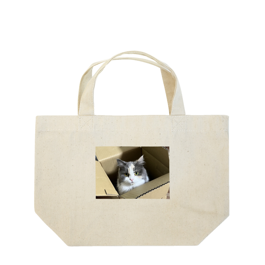 猫のお姫様のダンボール姫 Lunch Tote Bag