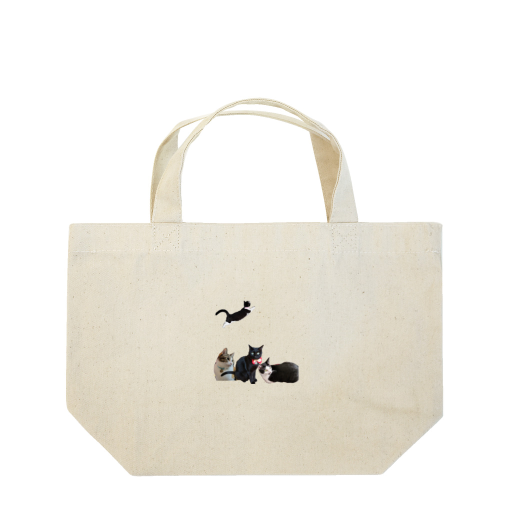 ゆっきぃ∞の空飛ぶあられと仲間たち Lunch Tote Bag