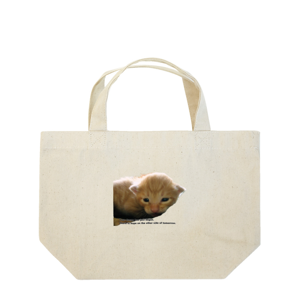 なかねことながたねこのシマ猫赤ちゃん子猫ちゃん、何が欲しいの？ Lunch Tote Bag