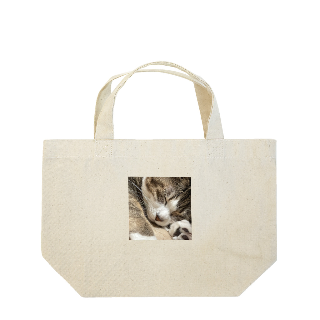 あゆのしおやきの猫(キジシロ) Lunch Tote Bag