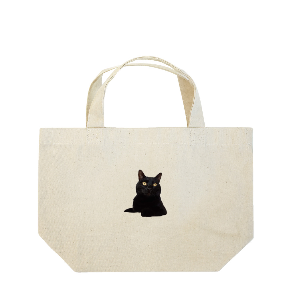 AiByoの愛猫 Lunch Tote Bag