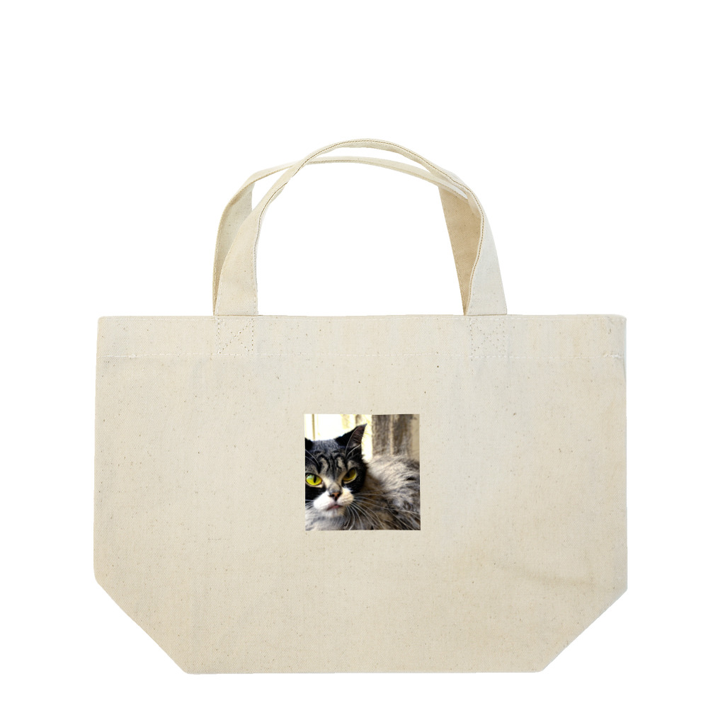 ねこ達と一緒の疲れた身体をいやすねこちゃん Lunch Tote Bag