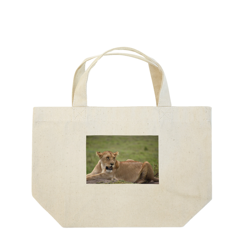 mayura_photoのサバンナのメスライオン Lunch Tote Bag