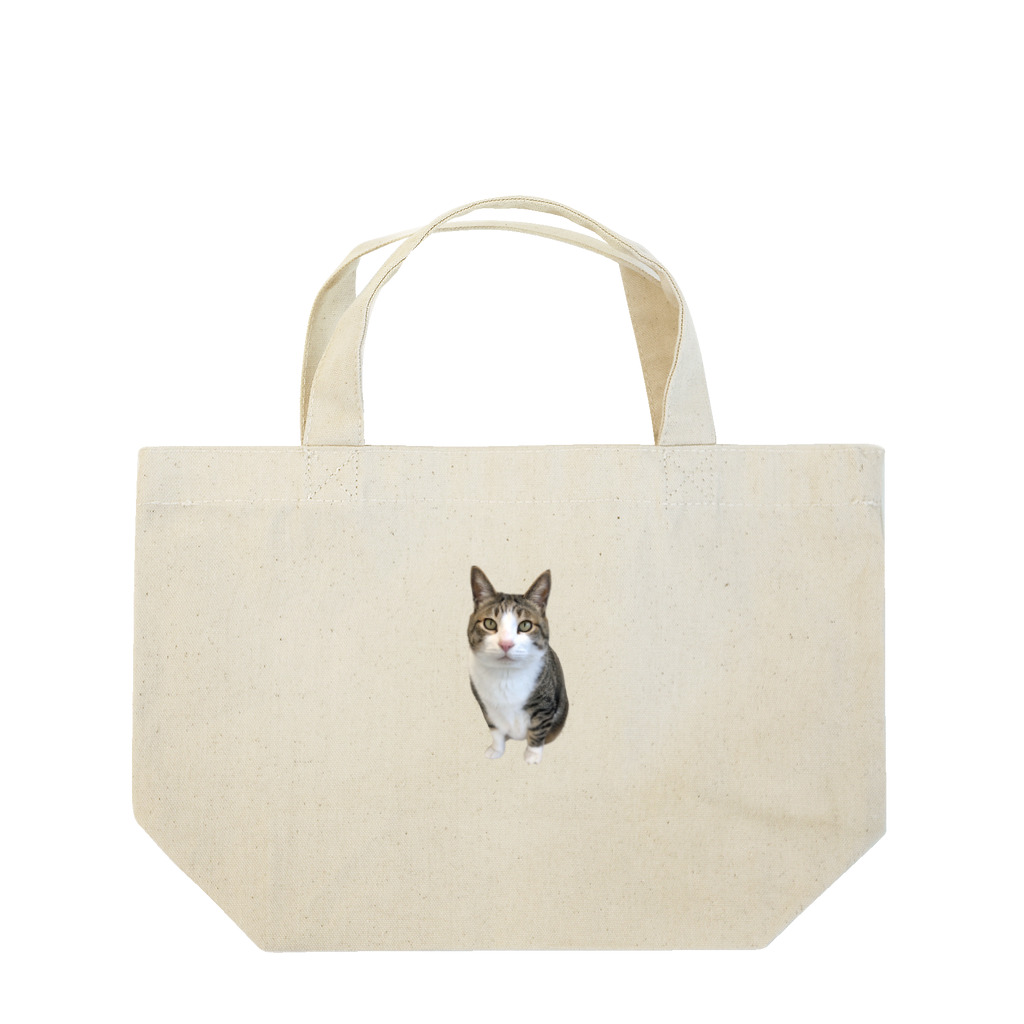 ねこぽてちのポテチくん Lunch Tote Bag