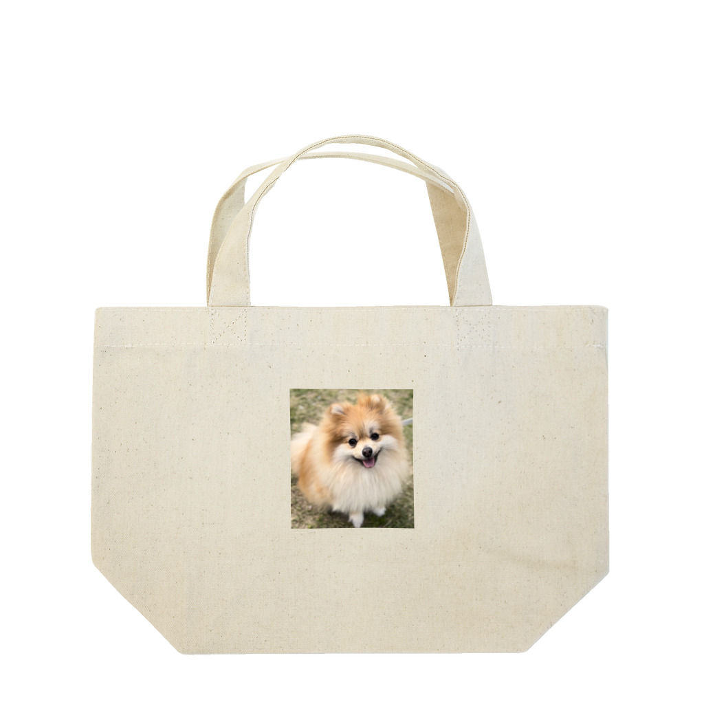 にゃんこぷにのかわいいポメちゃんに見つめられるグッズ Lunch Tote Bag