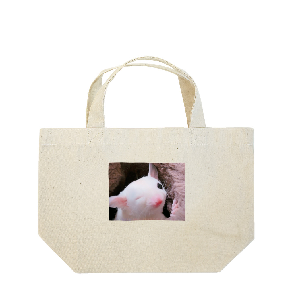 もち家族❣️のもち家族 Lunch Tote Bag