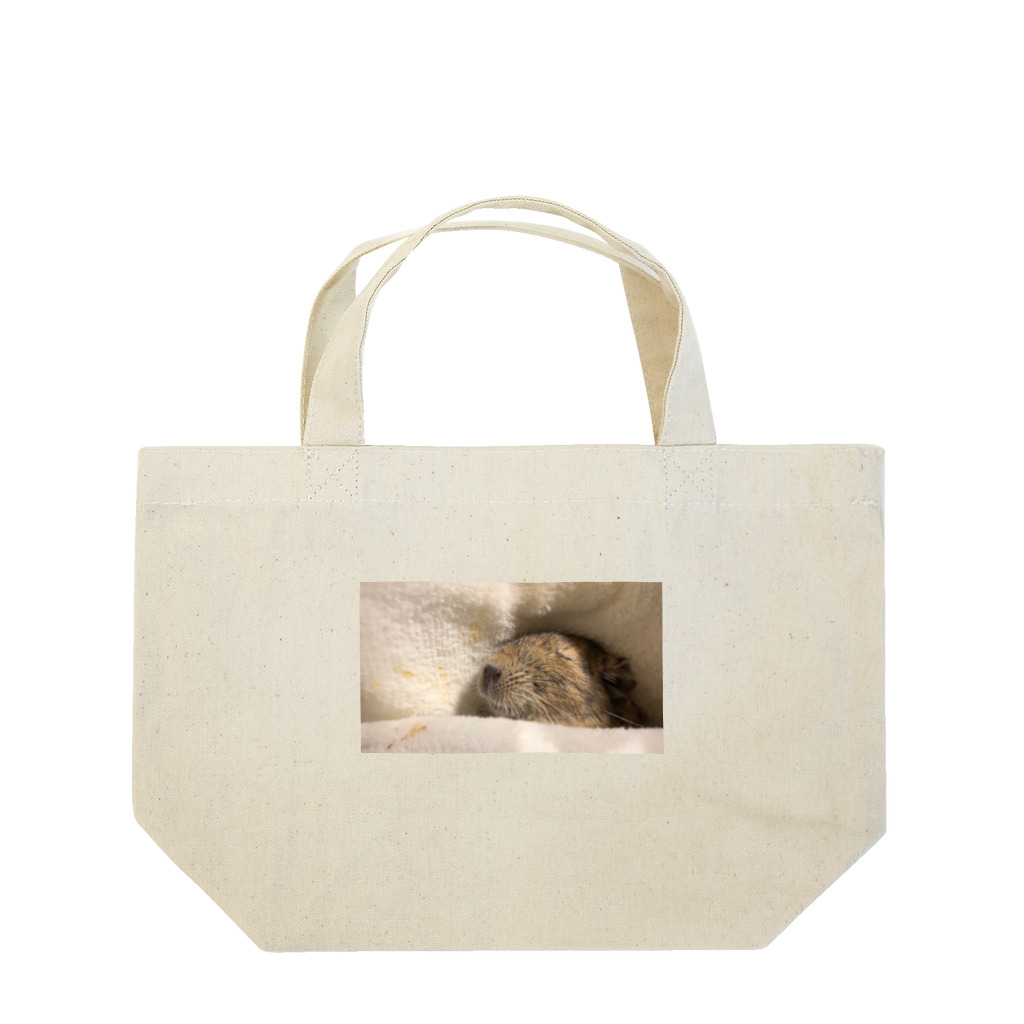 ∗̥✩kaede cleaning˚✧₊のつくね Lunch Tote Bag