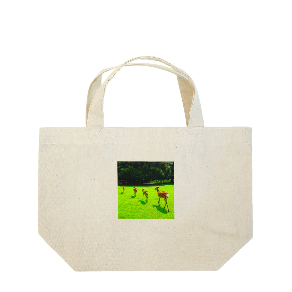 ならばー地亜貴(c_c)bの奈良公園の鹿が変える姿 Lunch Tote Bag