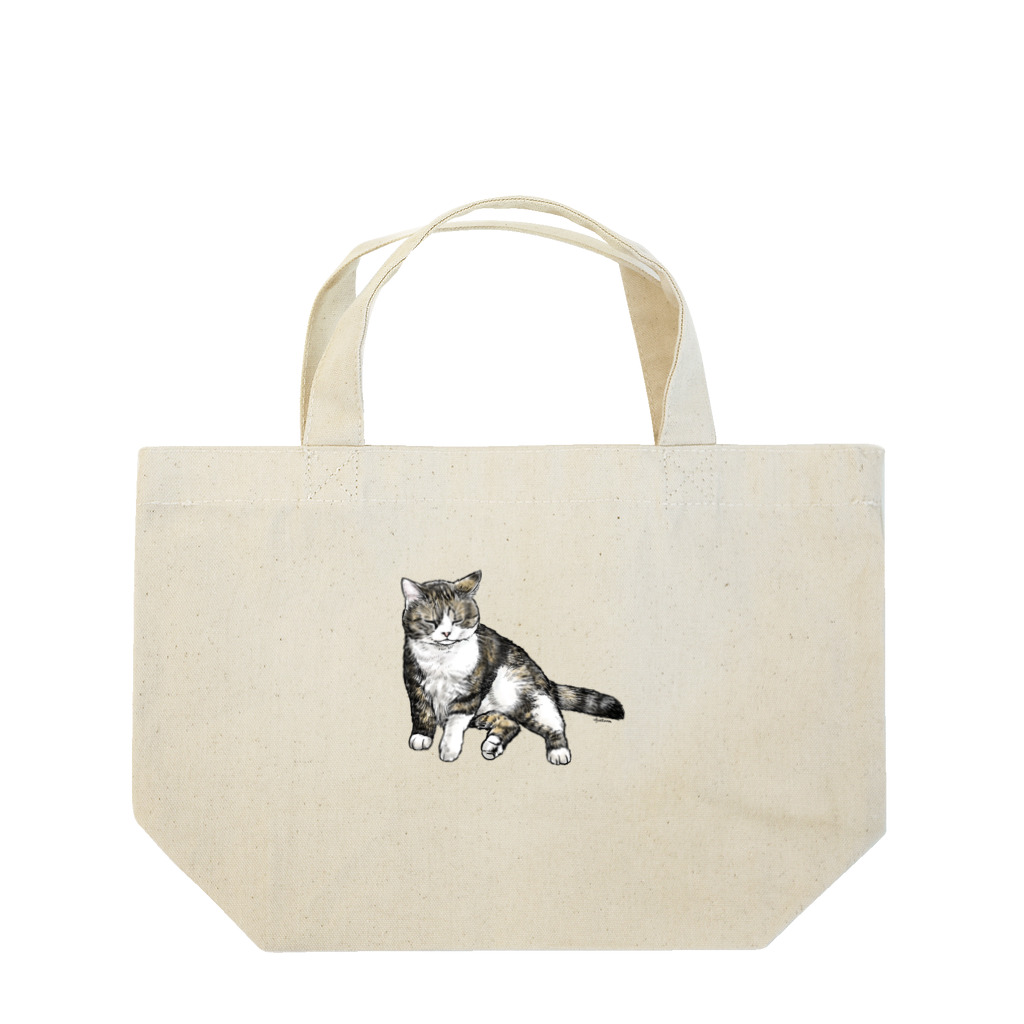 ayatoraのもっちりキジトラ猫 Lunch Tote Bag