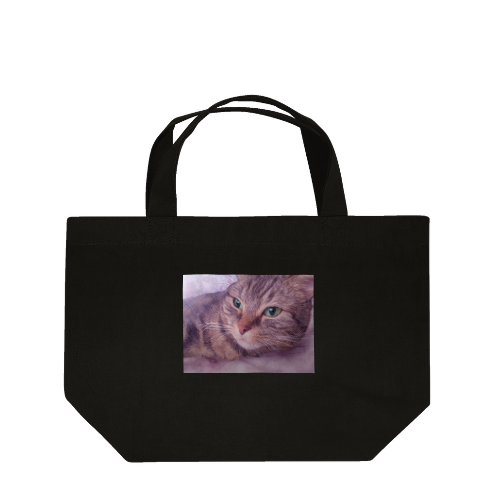 MUYU /  Animal ArtistのMemories with my pet １ Lunch Tote Bag