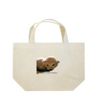 なかねことながたねこのシマ猫赤ちゃん子猫ちゃん、何が欲しいの？ Lunch Tote Bag