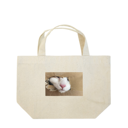 こてっことーと Lunch Tote Bag