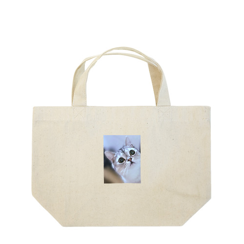 猫の名前はレオ Lunch Tote Bag