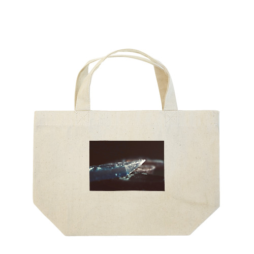 soap boat Lunch Tote Bag