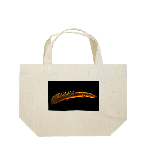 ポリプテルス グッズ Lunch Tote Bag