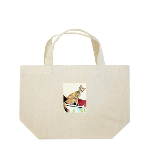カーテンレールからニャンコ🐱 Lunch Tote Bag