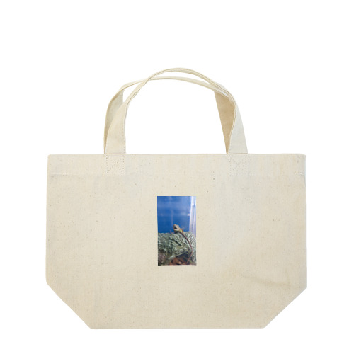 笑うトカゲ Lunch Tote Bag