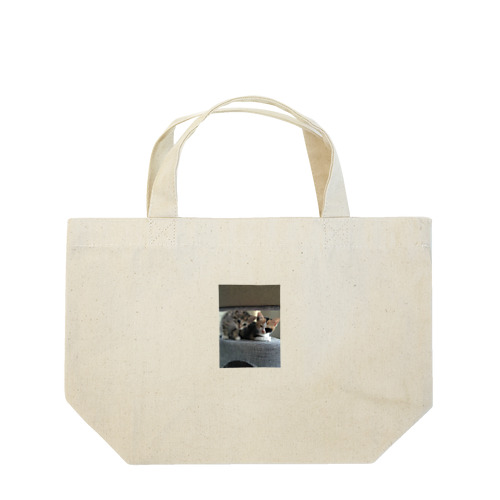 ネコちゃんたち Lunch Tote Bag