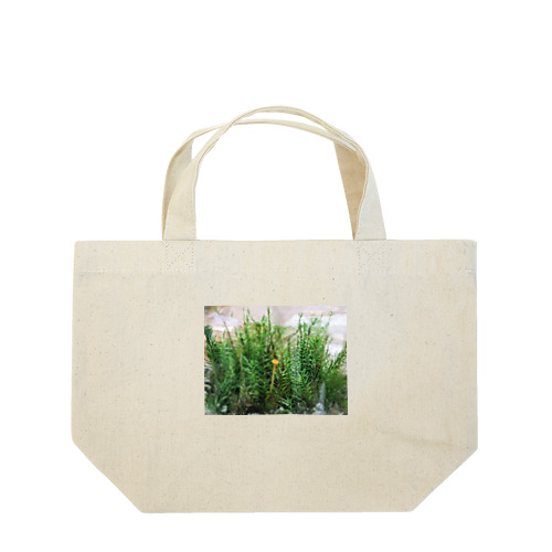 キノコと苔テラリウム Lunch Tote Bag