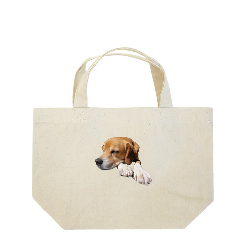 💤 Lunch Tote Bag